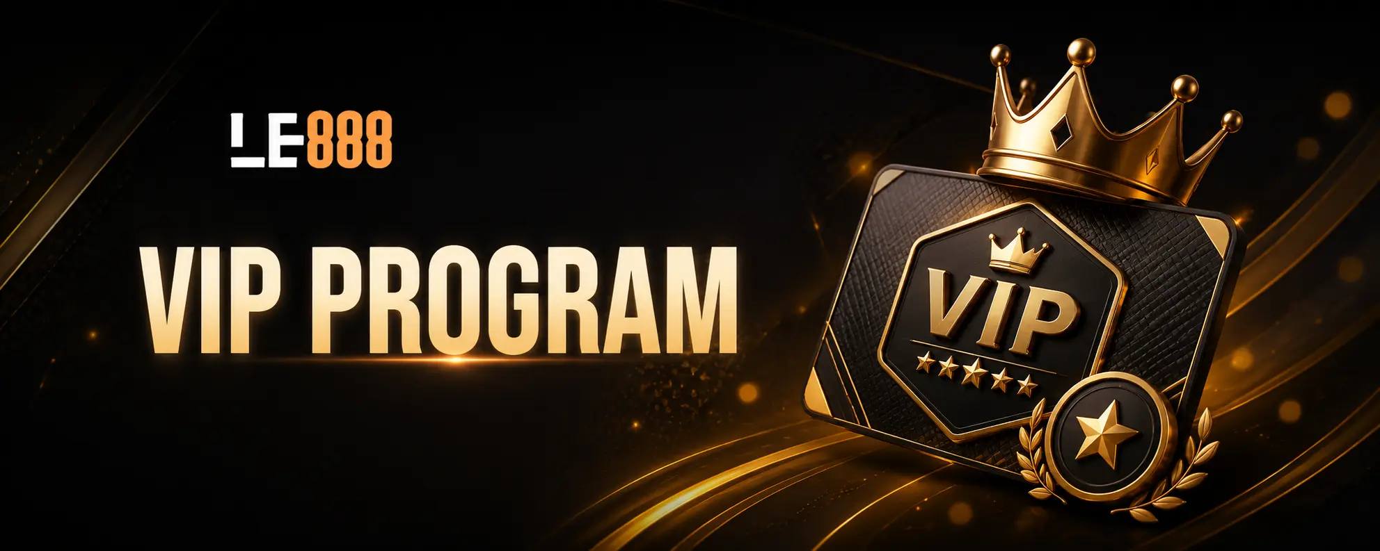 VIP Program
